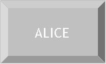 Plaque:                ALICE