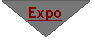 Organigramme : Fusion: Expo